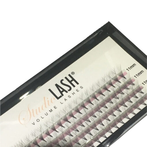 10D C Curl 0.05t Pre Made Volume Lash Fans