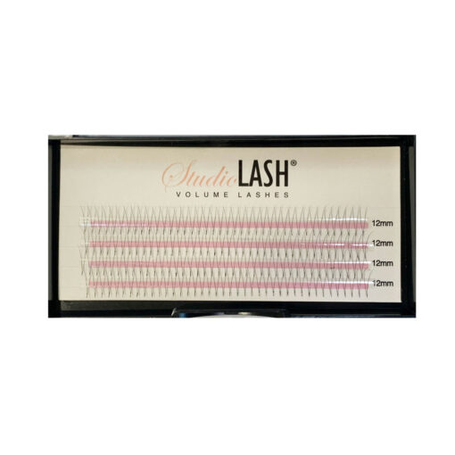 2D C Curl 0.07t Pre Made Volume Lash Fans - Image 2