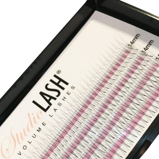 2D C Curl 0.07t Pre Made Volume Lash Fans