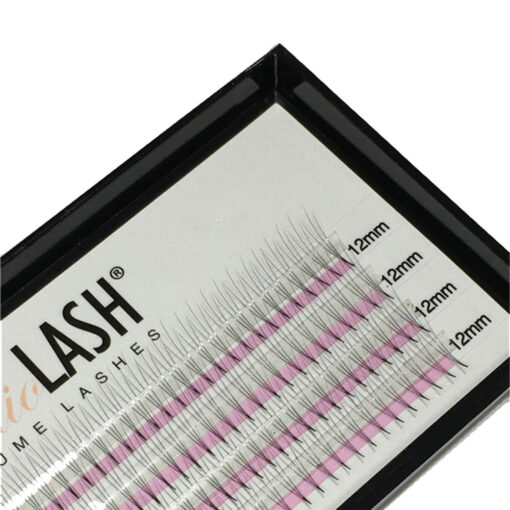 3D D Curl 0.07t Pre Made Volume Lash Fans