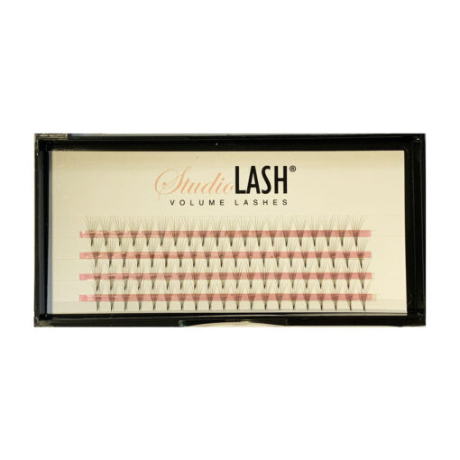 6D D Curl 0.05t Pre Made Volume Lash Fans - Image 2