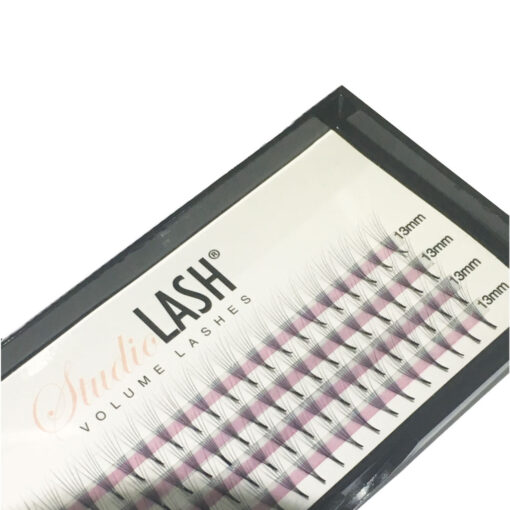 6D D Curl 0.05t Pre Made Volume Lash Fans
