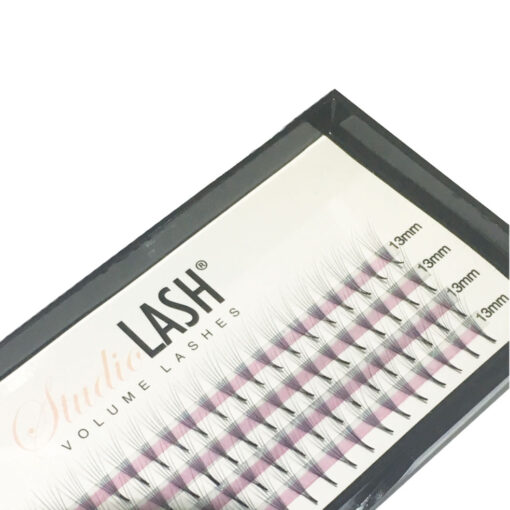 6D C Curl 0.07t Pre Made Volume Lash Fans