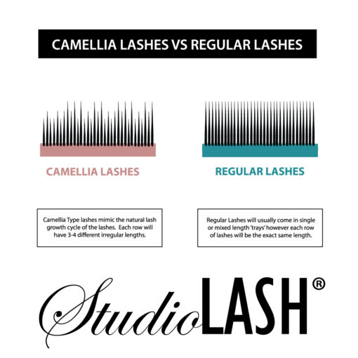 C Curl 0.03t Camellia Eyelash Extension Tray - Image 3