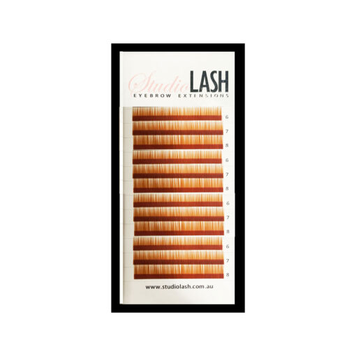 Eyebrow Extension Training Kit - Image 3