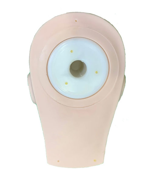 Lash Practice Mannequin Training Head - Image 2